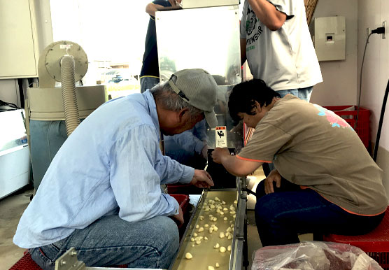 生活環境・雇用状況の改善・収入向上へ