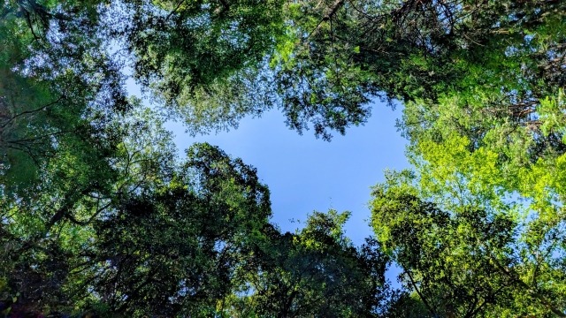 保存食という知恵