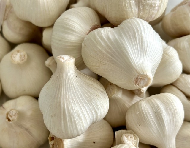 小さな一片に込められた、大きな力