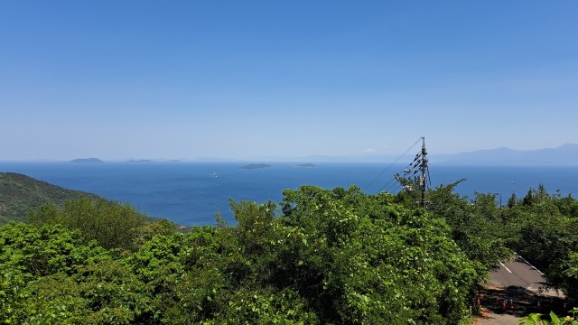 それぞれの美しさ