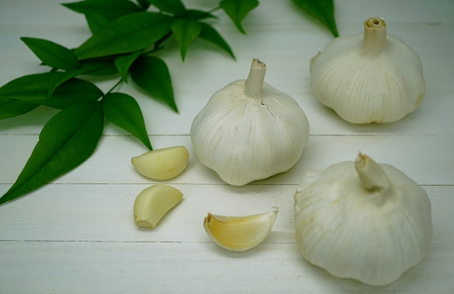 科学が解明するにんにくの「魔除け効果」