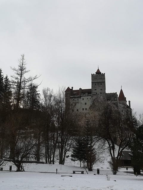 にんにくと吸血鬼伝説 – なぜにんにくが魔除けとされたのか