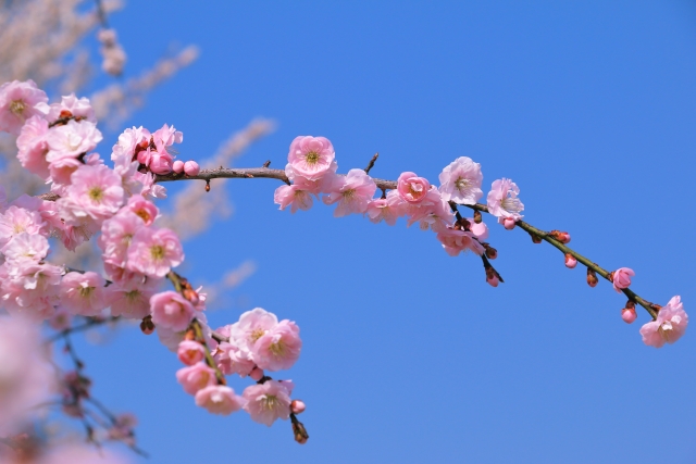新しい季節を元気に迎える