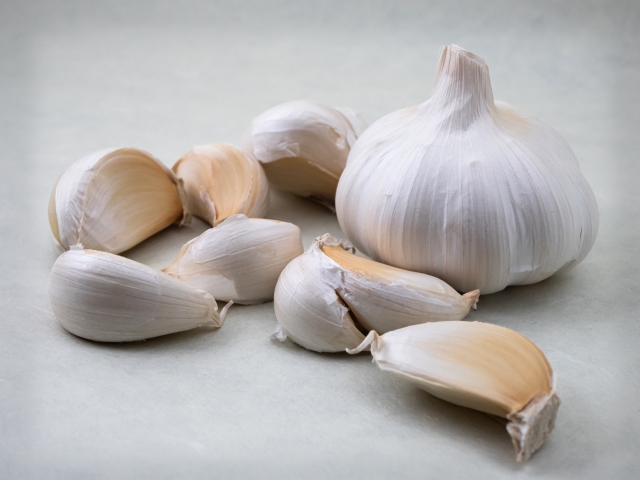 にんにくの理想的な保存環境