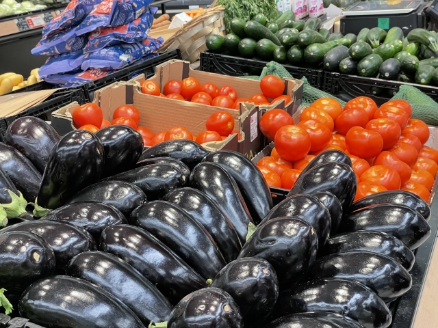 中東「春のムサッカとにんにくソース」